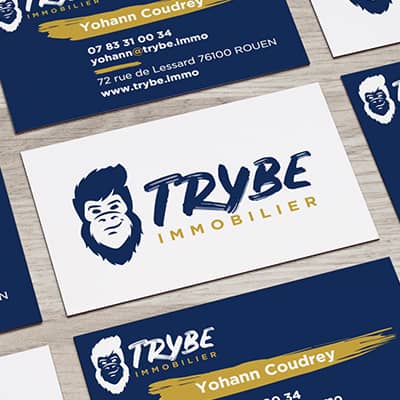 Trybe Immobilier